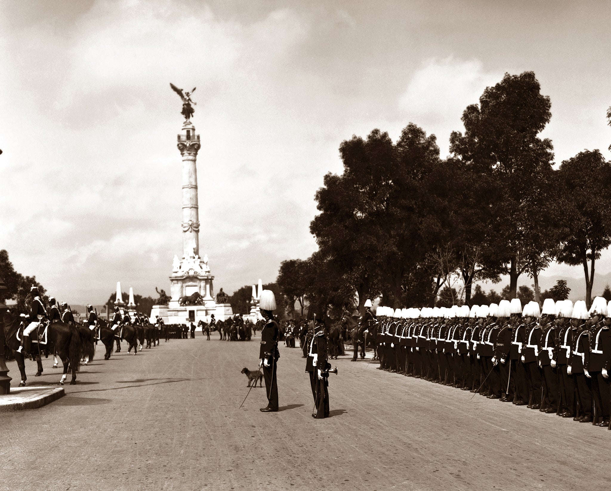 Photo / Fotografía 40 x 50 cm