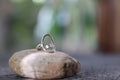 Silver Ring / Anillo de plata .29