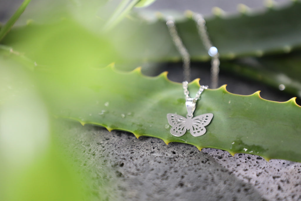 Dije de mariposa plata .925