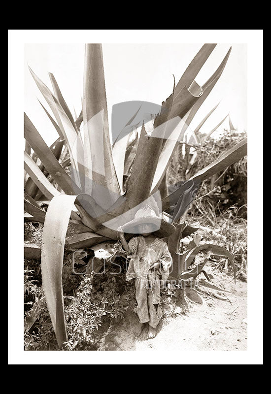 PHOTO / FOTOGRAFÍA - NIÑO BAJO EL MAGUEY